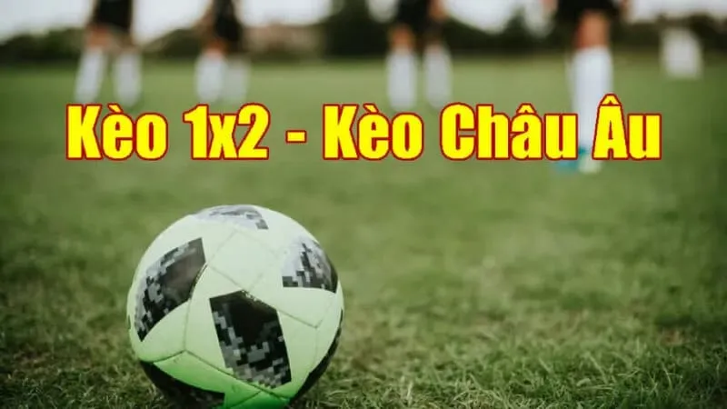 Cách đọc kèo bóng đá 2024 với kèo châu Âu