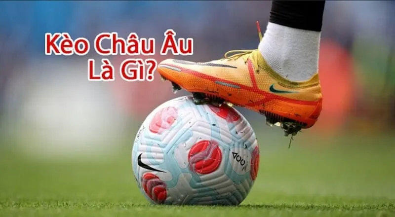 Kèo châu Âu là gì? giới thiệu đôi nét về loại kèo châu Âu