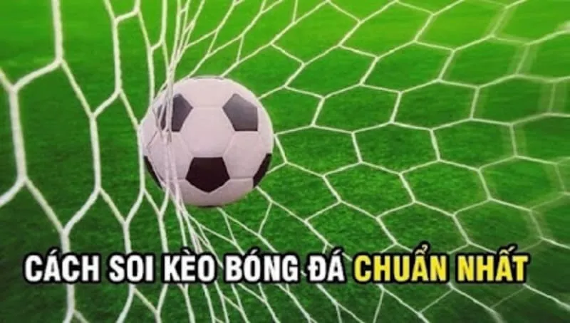 Lựa chọn và soi kèo penalty chuẩn xác theo các chuyên gia
