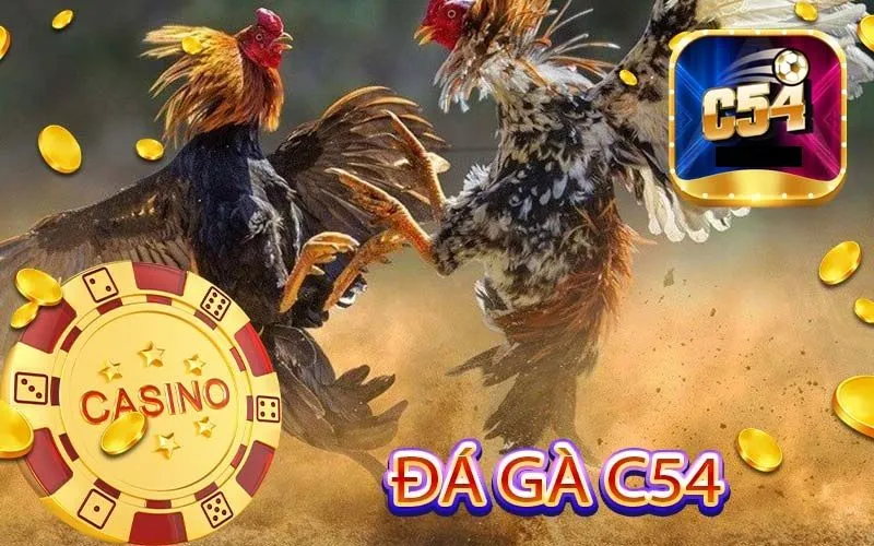 Nhiều phương thức cược đá gà c54 đặc sắc không thể bỏ lỡ