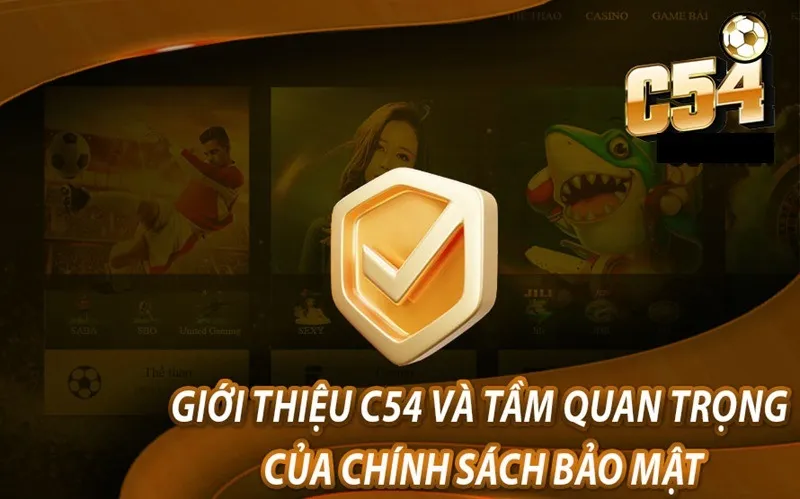Thông tin chính sách bảo mật tại c54 tuân thủ quy định pháp lý