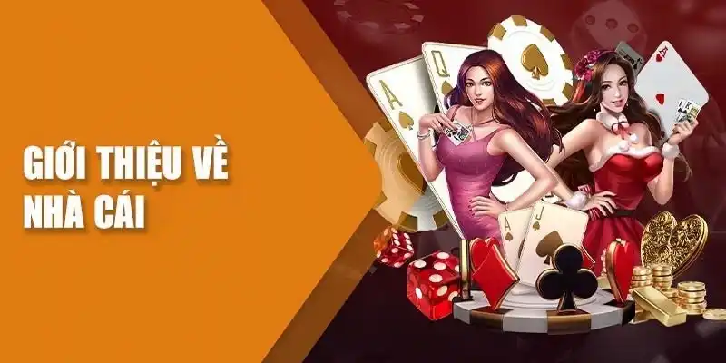 Giới thiệu Win8bet